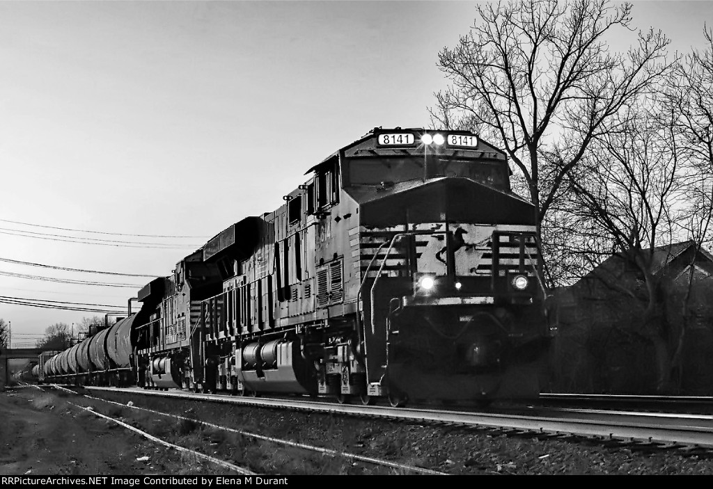 NS 8141 on 10K